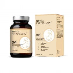 Import produktów XML malowia.pl